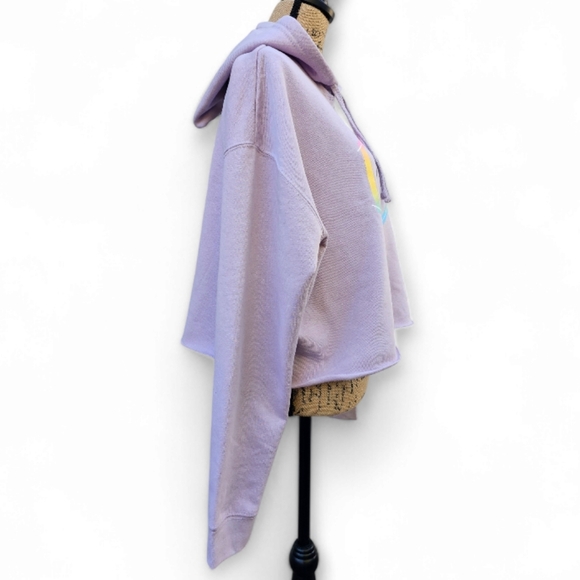 Lane Seven Cropped Chicago Hoodie, Size L - Picture 3 of 5